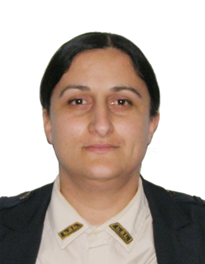 ნესტანი ტვილდიანი